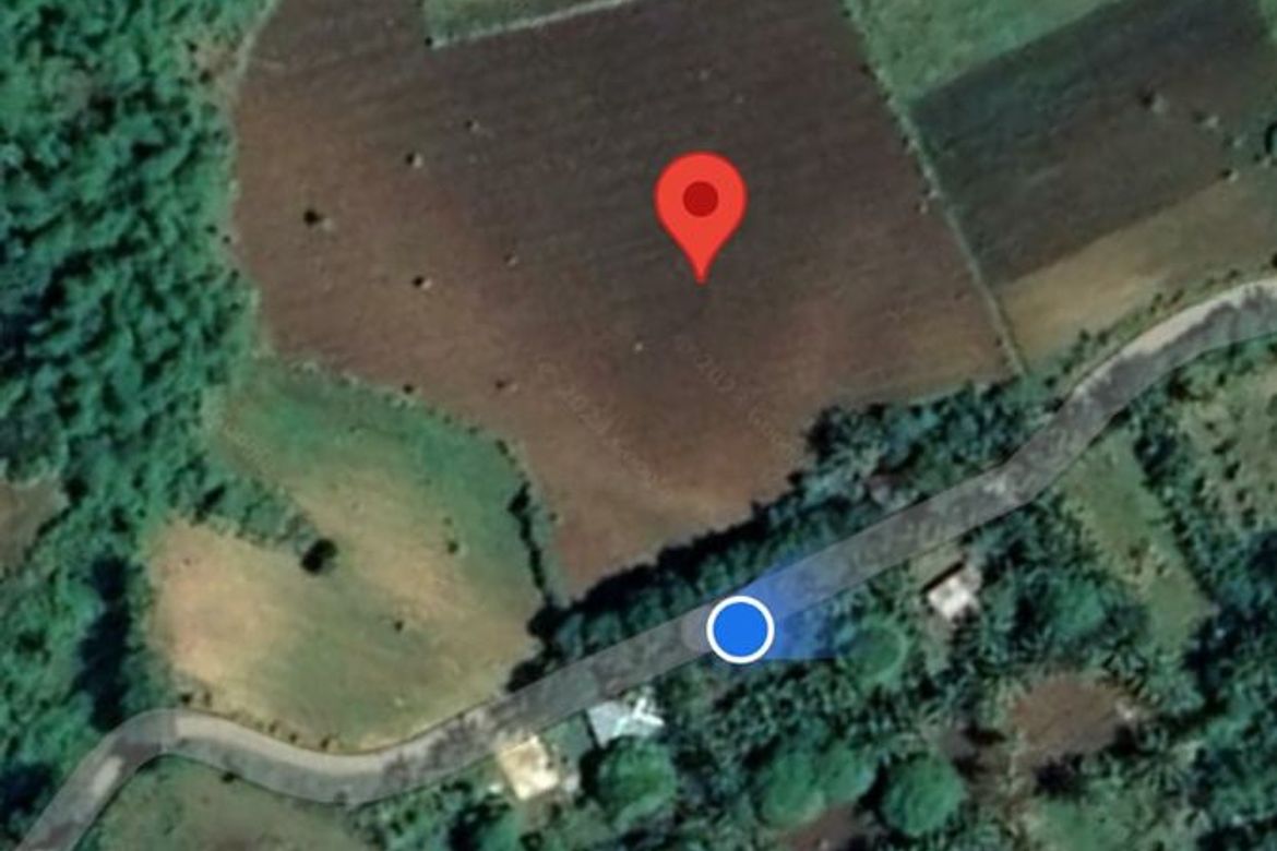 Land for Sale in Kantangkas, Dumanjug, Cebu