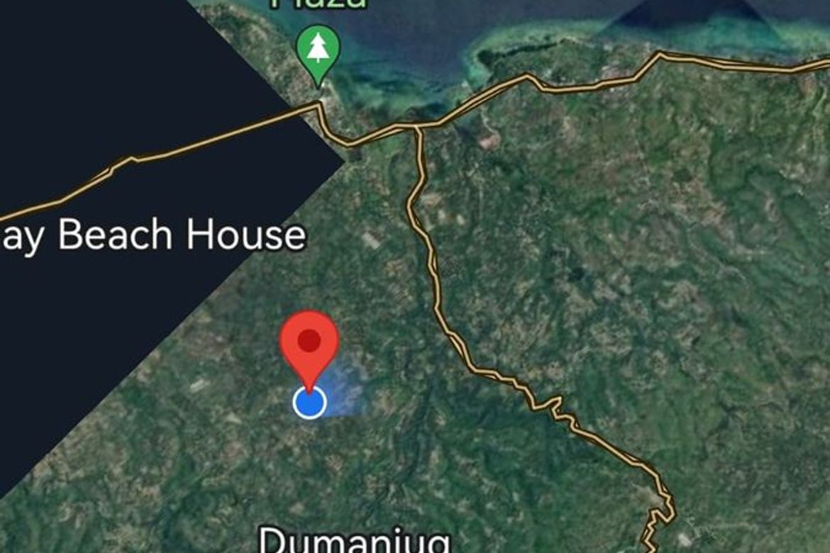 Land for Sale in Kantangkas, Dumanjug, Cebu – photo 3