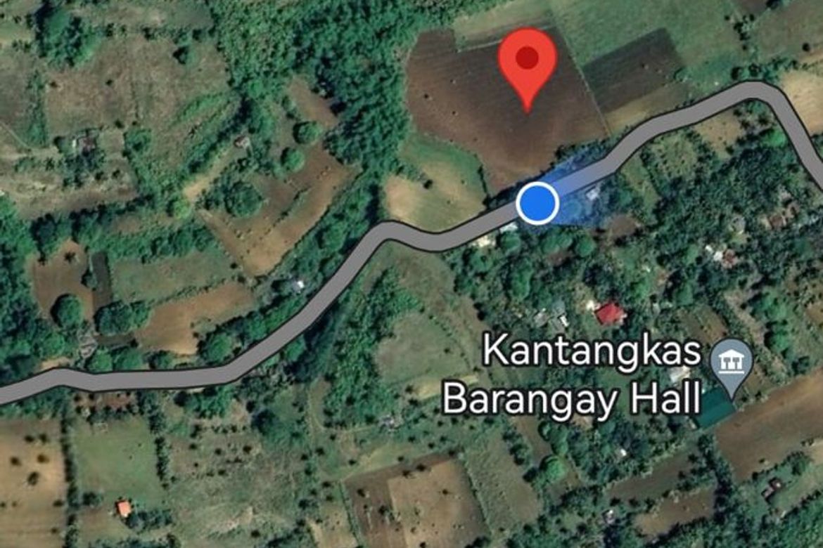 Land for Sale in Kantangkas, Dumanjug, Cebu – photo 4
