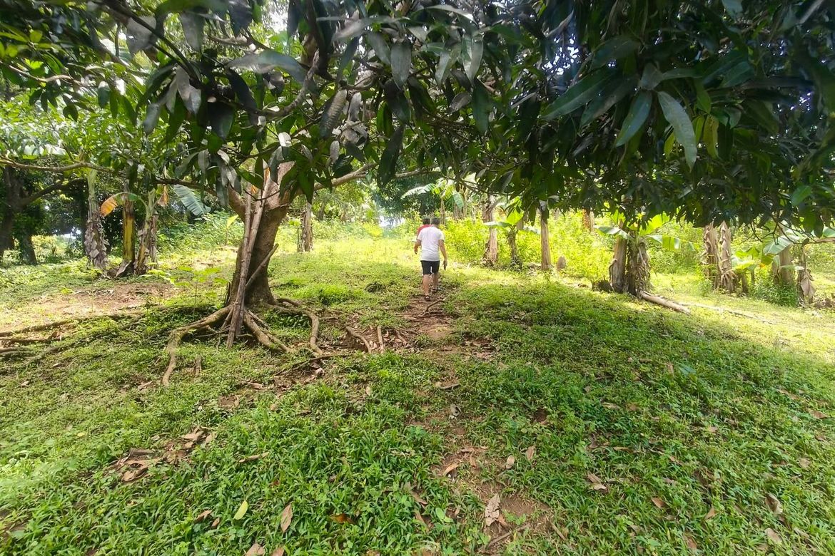 Land for Sale in Kapito, Lian, Batangas – photo 2
