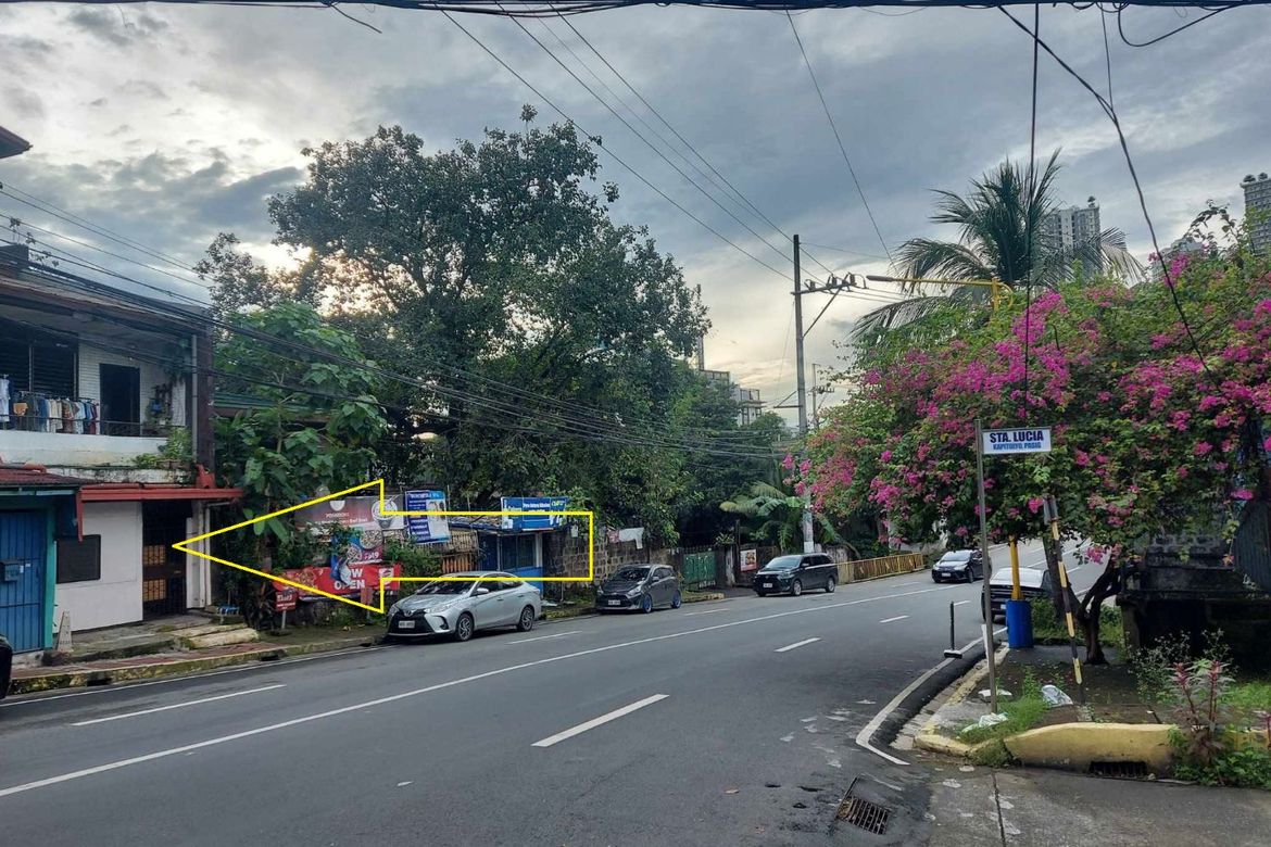Land for Sale in Kapitolyo, Pasig, Metro Manila – photo 5