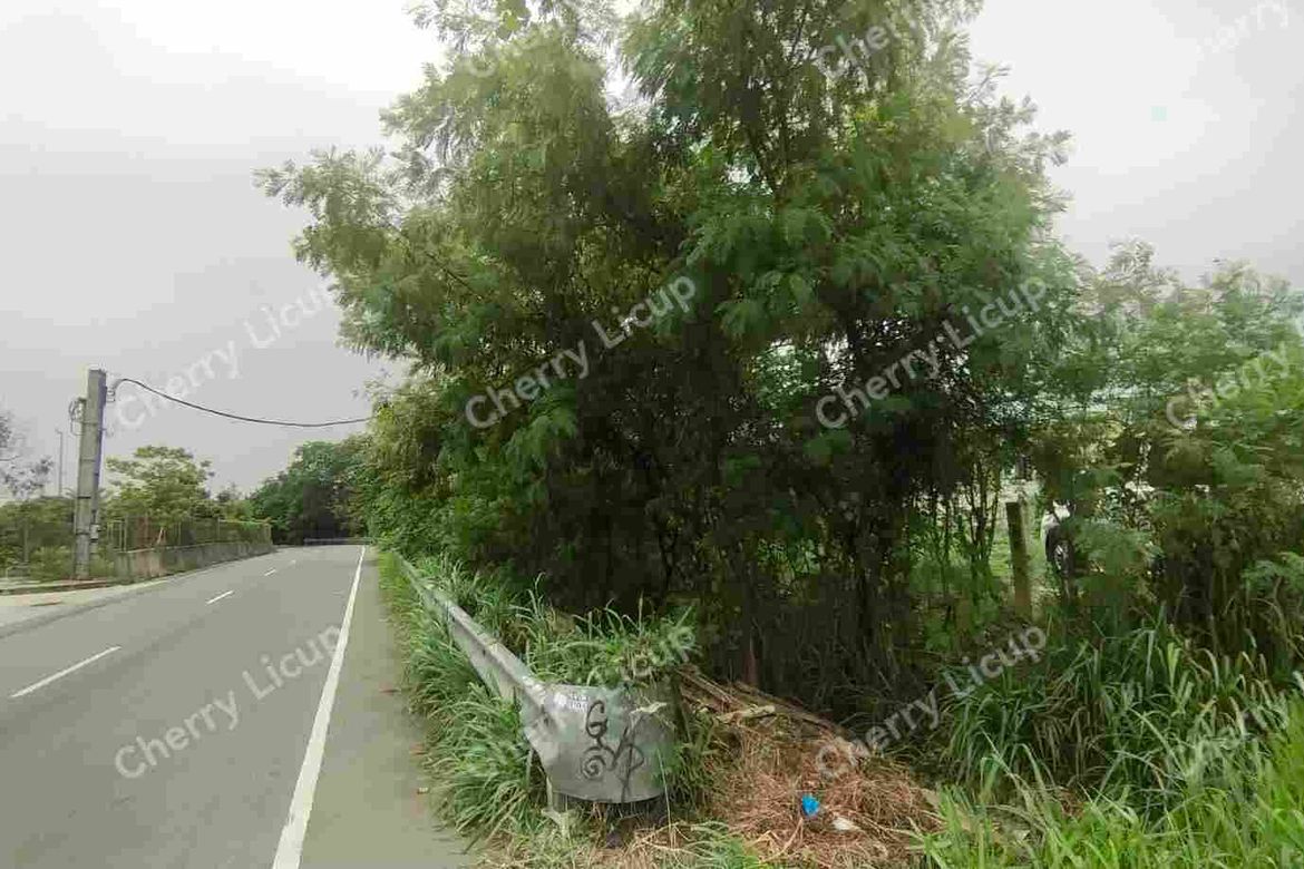 Land for Sale in Karuhatan, Valenzuela, Metro Manila – photo 2