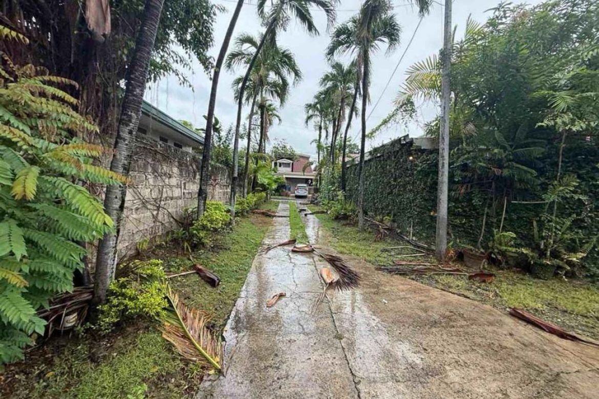 Land for Sale in Kasambagan, Cebu City, Cebu – photo 7