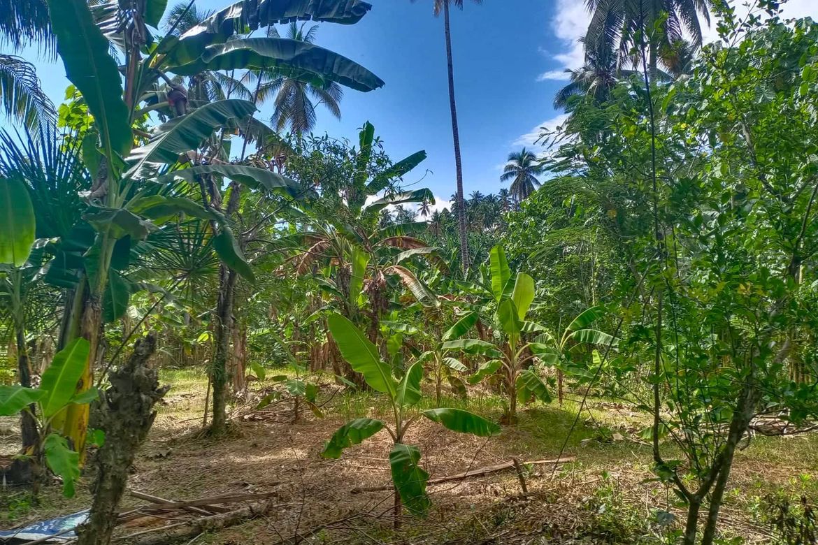 Land for Sale in Kasilak, Panabo, Davao del Norte – photo 6