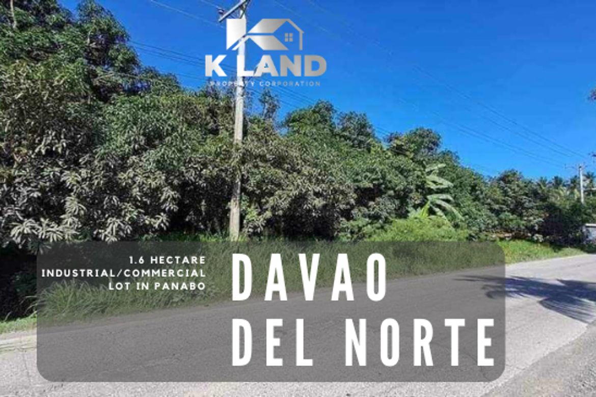 Land for Sale in Kasilak, Panabo, Davao del Norte – photo 2