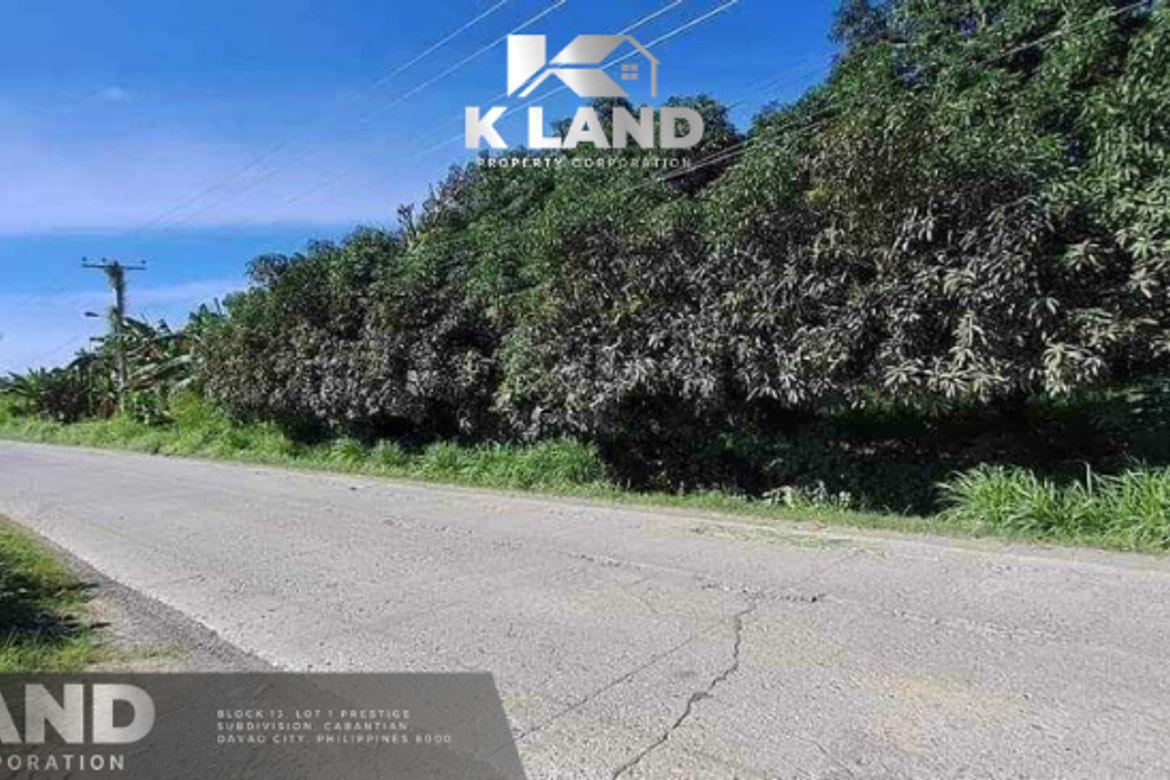 Land for Sale in Kasilak, Panabo, Davao del Norte – photo 3