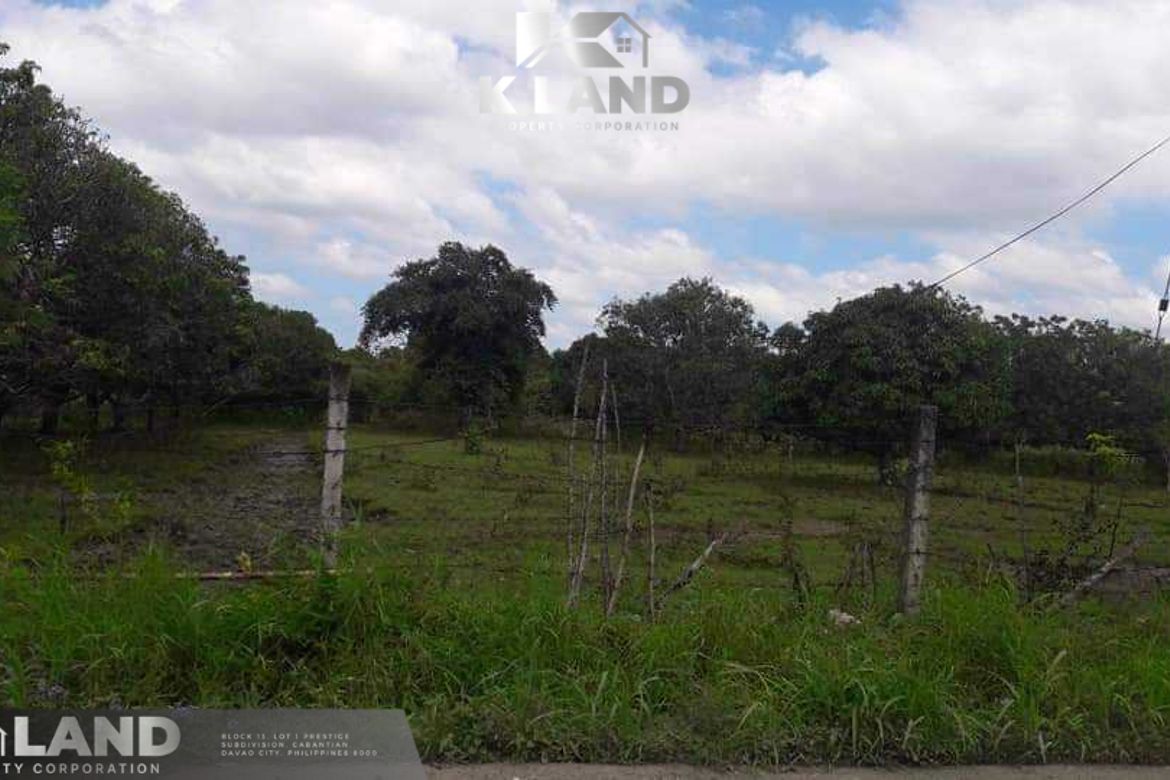 Land for Sale in Kasilak, Panabo, Davao del Norte – photo 3