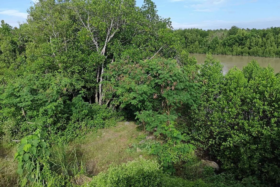 Land for Sale in Kasilak, Panabo, Davao del Norte – photo 3