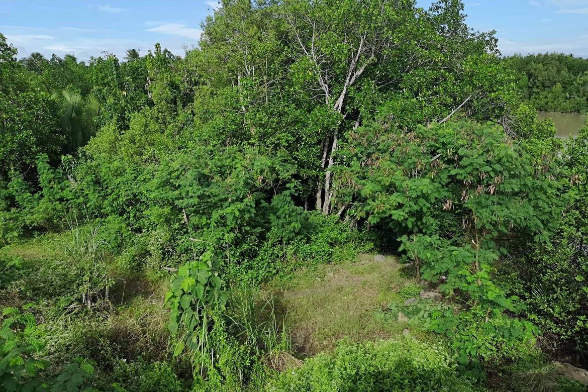 Land for Sale in Kasilak, Panabo, Davao del Norte – photo 4