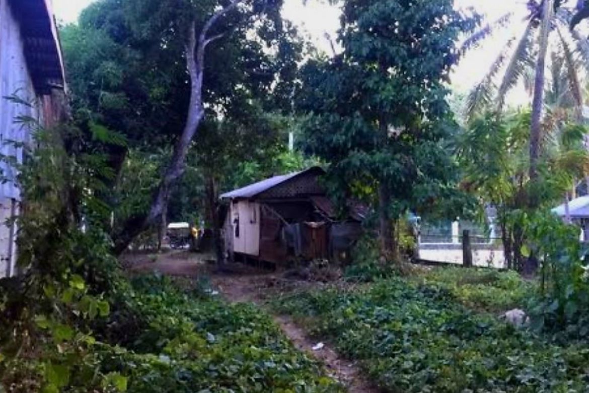 Land for Sale in Katarungan, Ubay, Bohol – photo 6