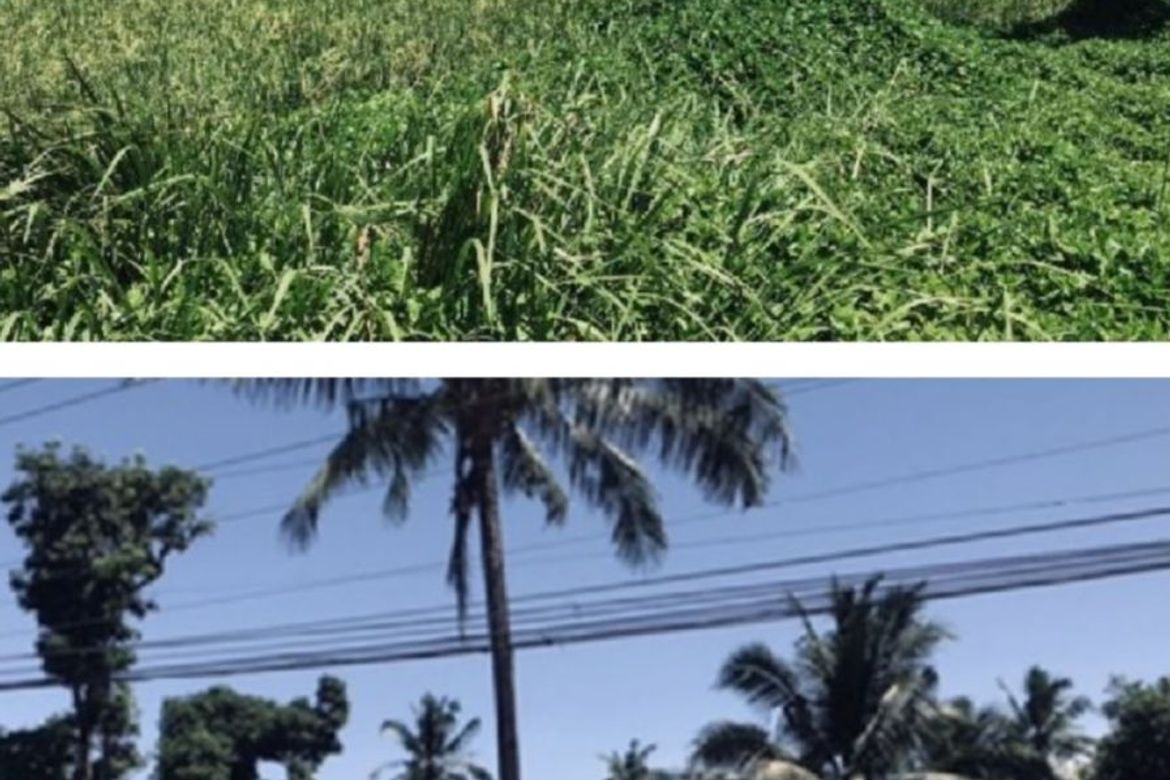 Land for Sale in Katarungan, Ubay, Bohol – photo 7