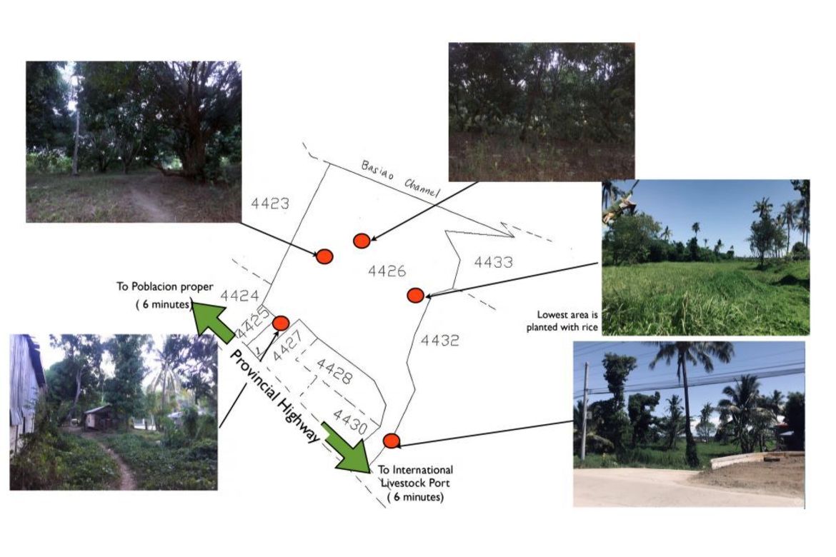 Land for Sale in Katarungan, Ubay, Bohol – photo 8