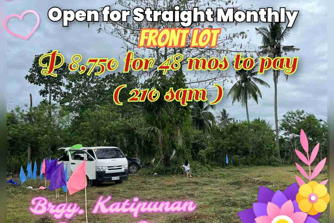 Land for Sale in Katipunan, Panabo, Davao del Norte – photo 2