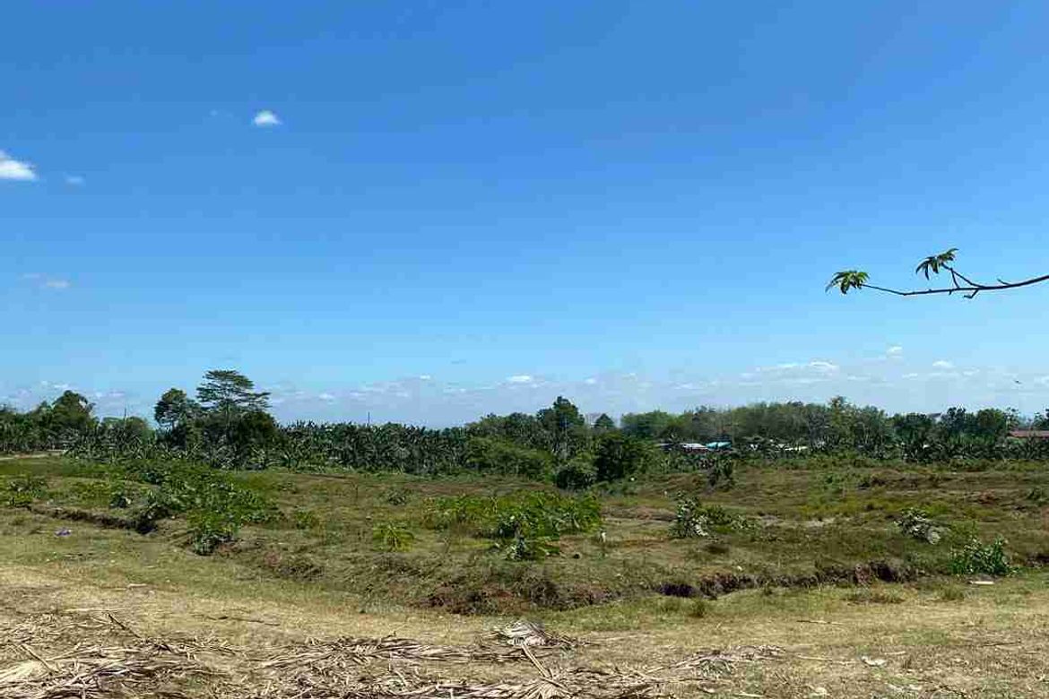 Land for Sale in Katipunan, Panabo, Davao del Norte – photo 4