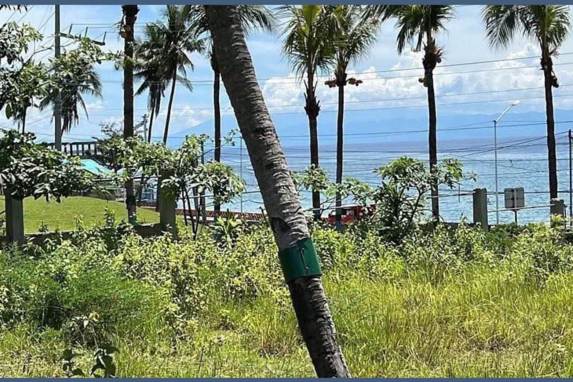 Land for Sale in Kawasan, Aloguinsan, Cebu