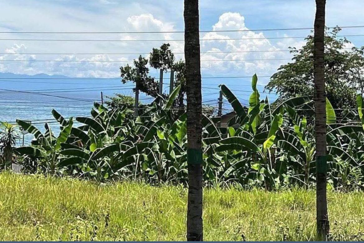 Land for Sale in Kawasan, Aloguinsan, Cebu – photo 2