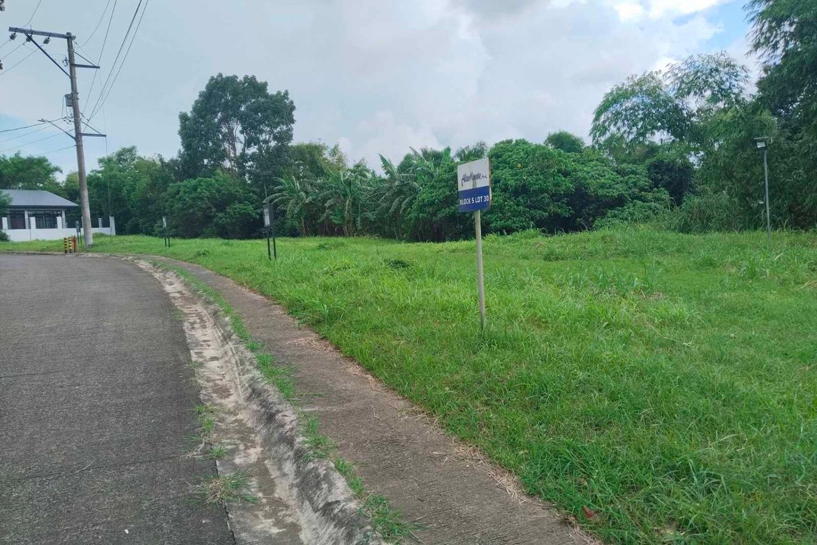 Land for Sale in Kaybagal East, Tagaytay, Cavite – photo 3