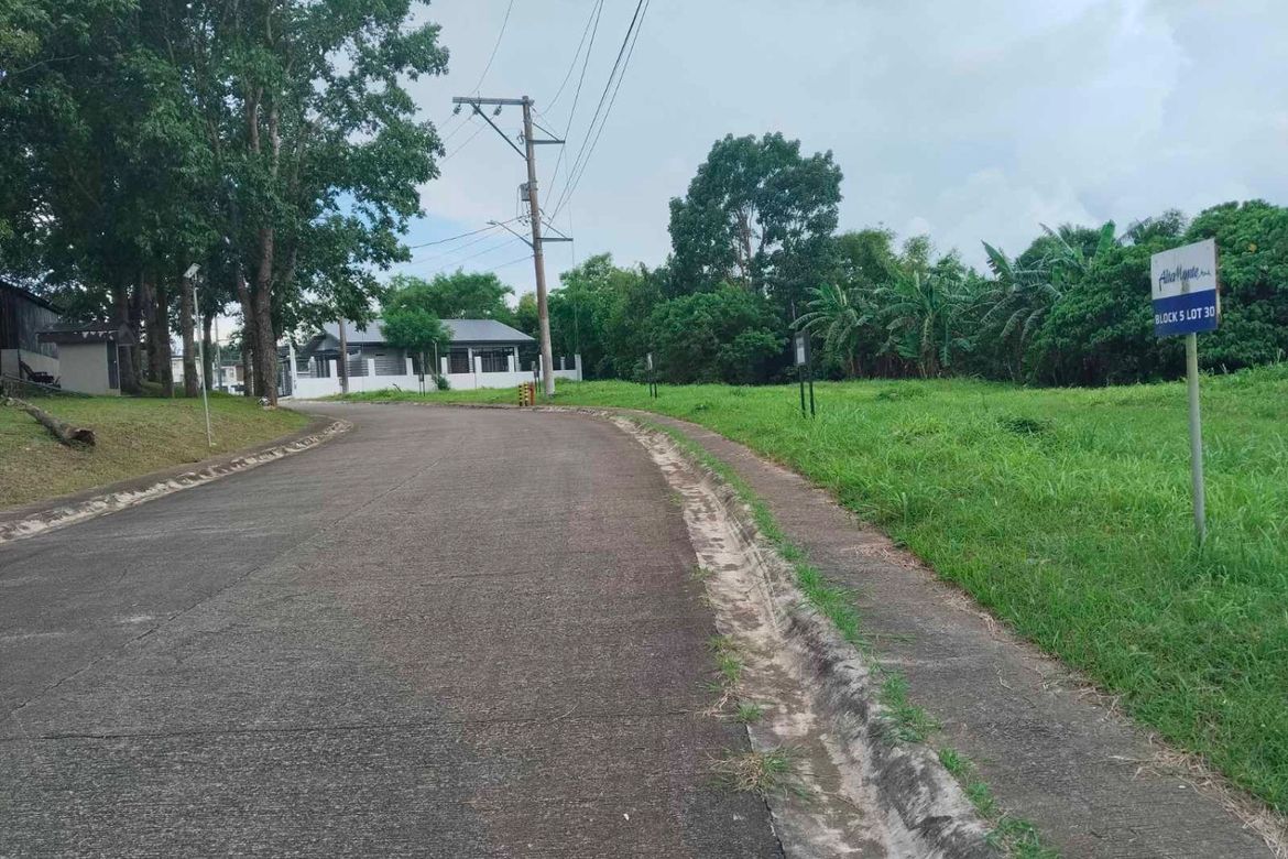 Land for Sale in Kaybagal East, Tagaytay, Cavite – photo 4