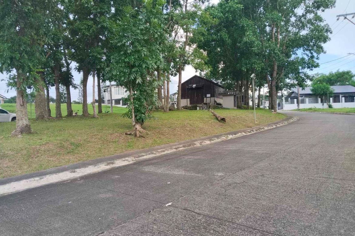 Land for Sale in Kaybagal East, Tagaytay, Cavite – photo 5