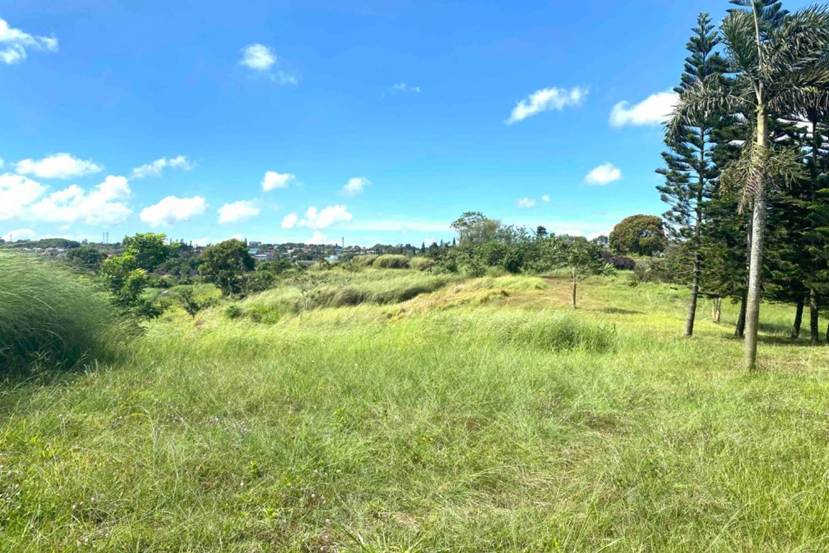 Land for Sale in Kaybagal East, Tagaytay, Cavite