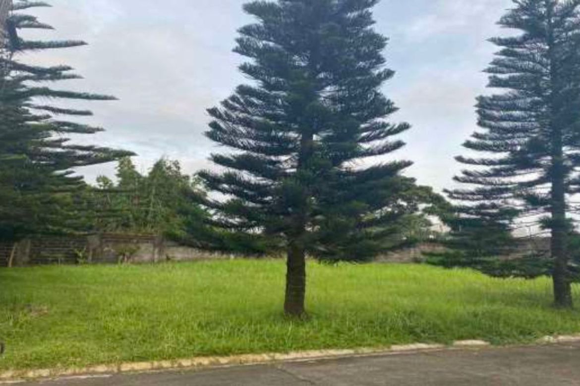 Land for Sale in Kaybagal East, Tagaytay, Cavite – photo 2