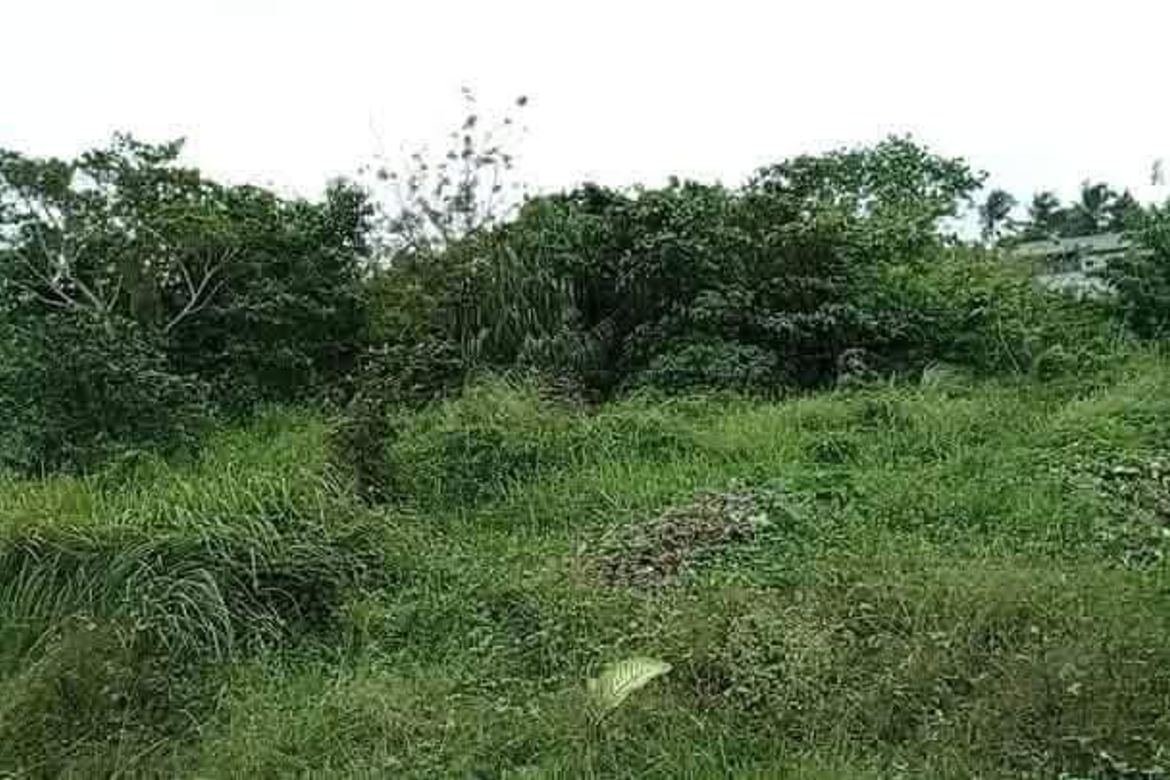 Land for Sale in Kaybagal East, Tagaytay, Cavite – photo 3