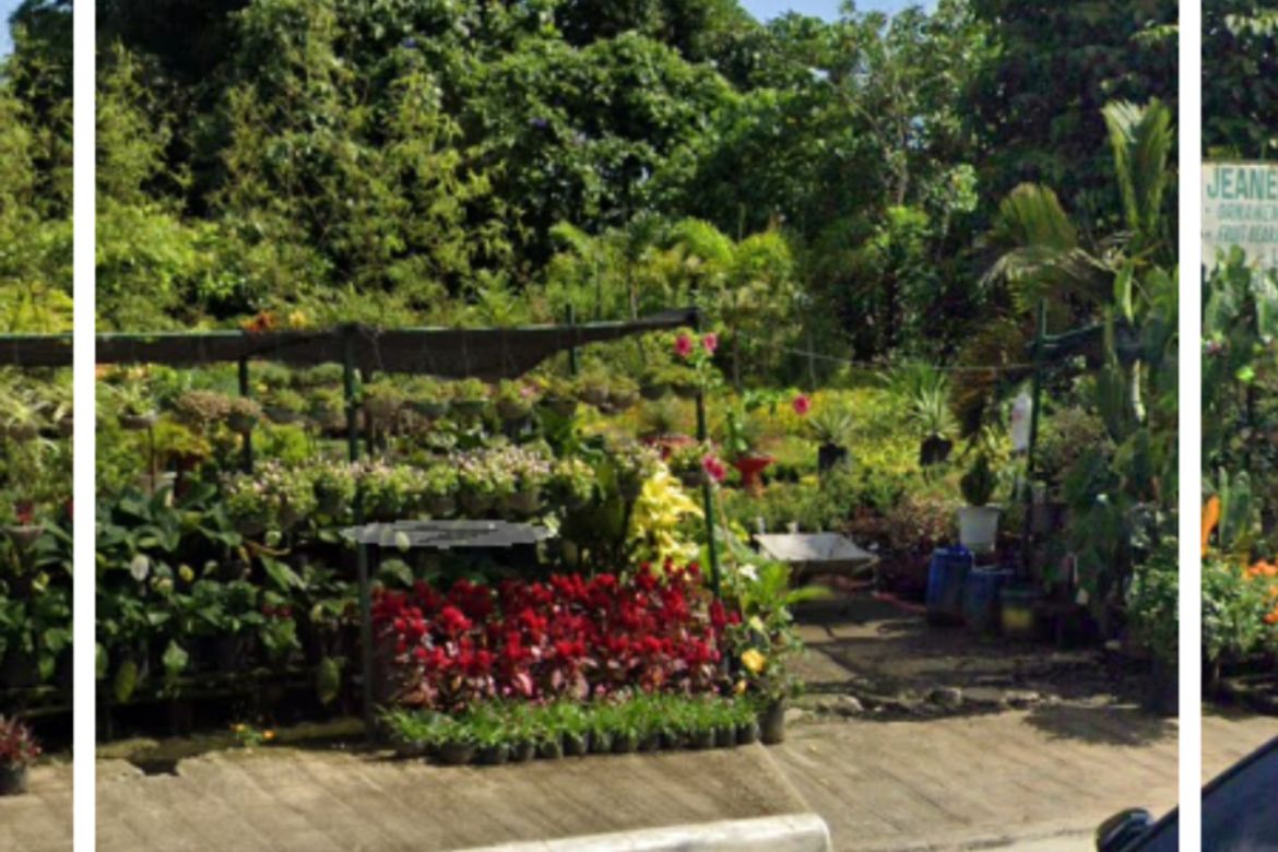 Land for Sale in Kaybagal North, Tagaytay, Cavite