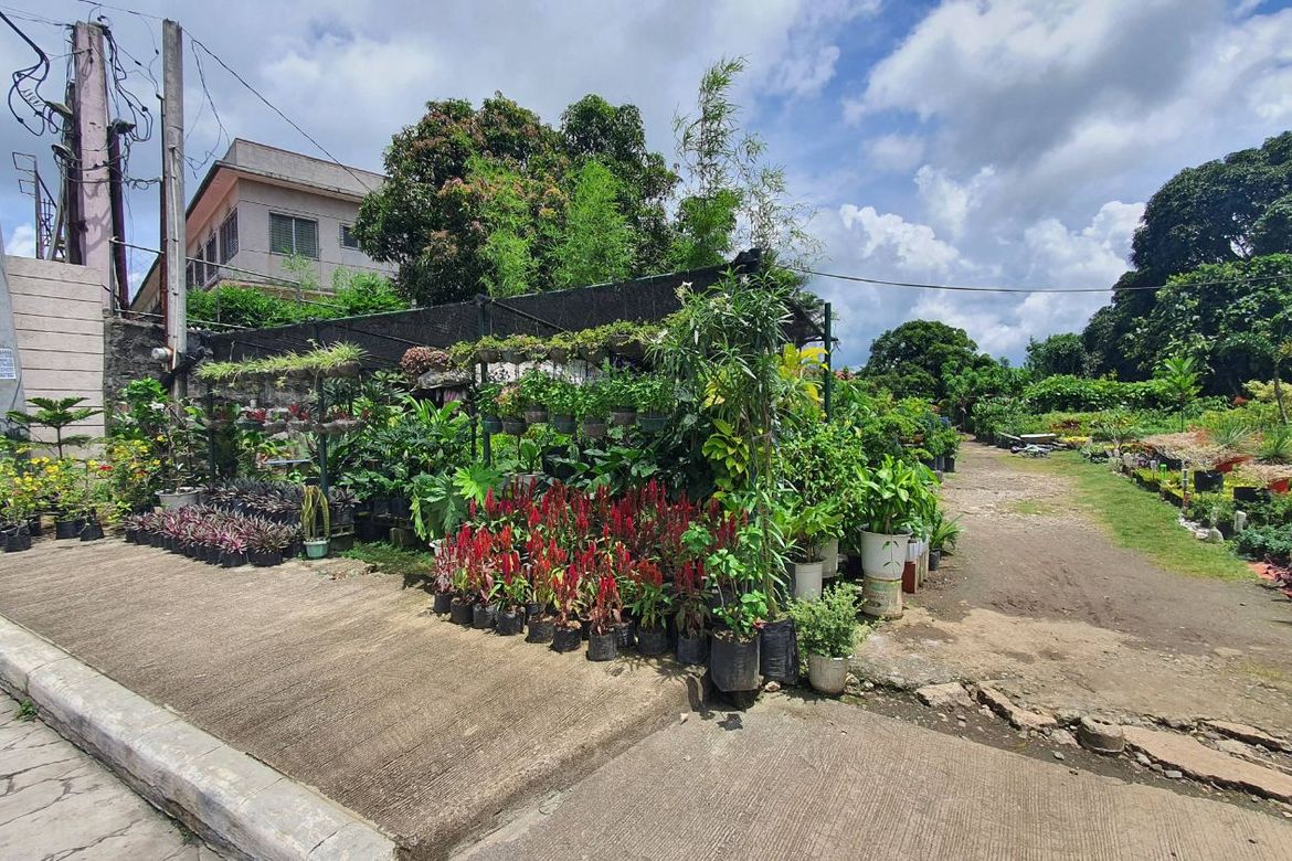 Land for Sale in Kaybagal North, Tagaytay, Cavite – photo 5