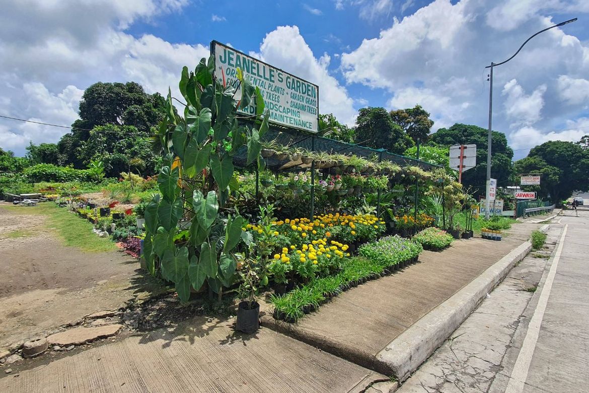 Land for Sale in Kaybagal North, Tagaytay, Cavite – photo 6