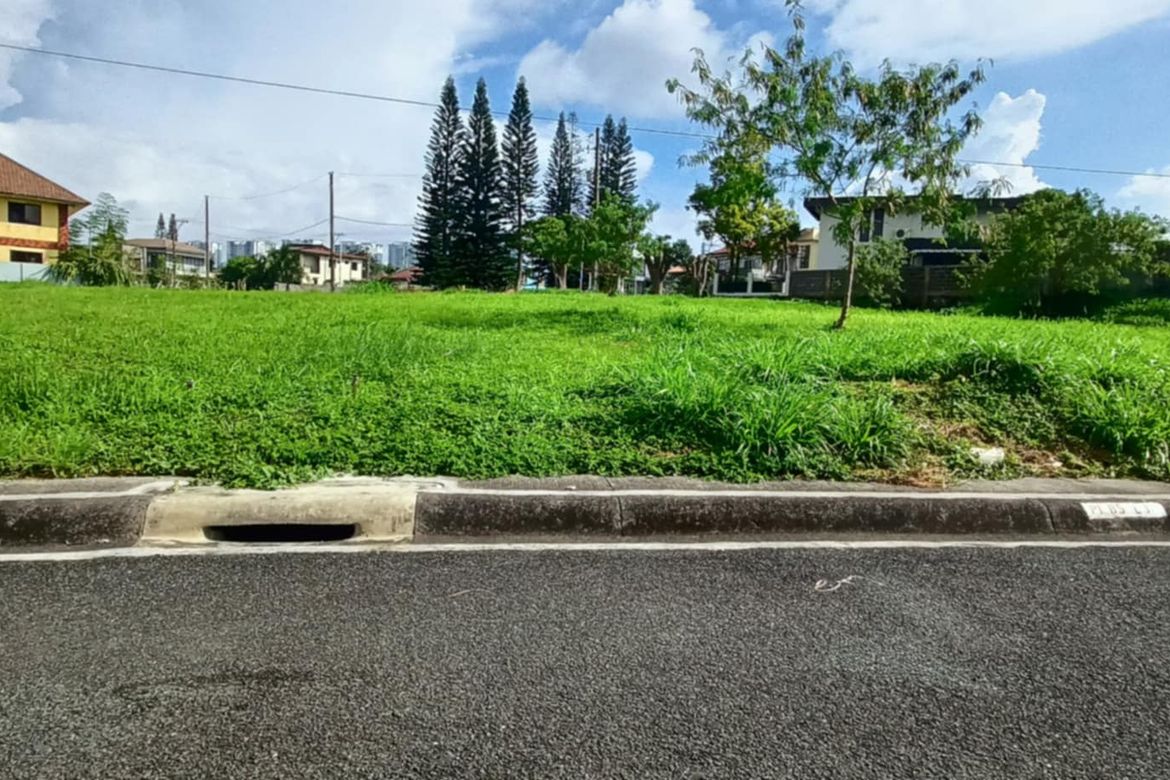 Land for Sale in Kaybagal South, Tagaytay, Cavite – photo 4