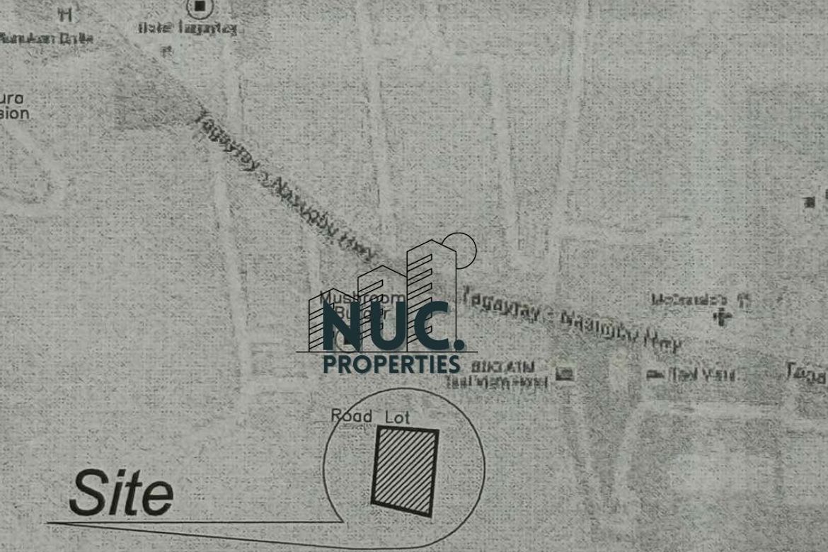 Land for Sale in Kaybagal South, Tagaytay, Cavite – photo 5
