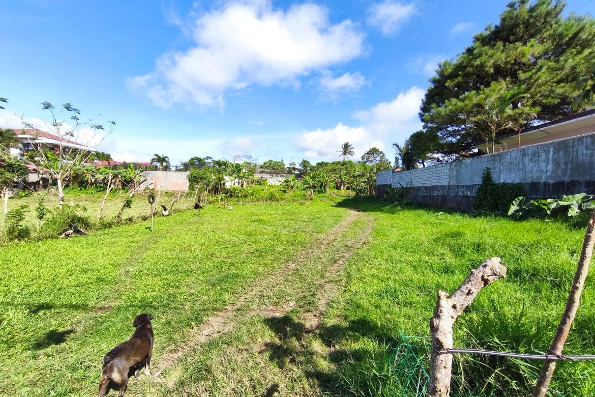 Land for Sale in Kaybagal South, Tagaytay, Cavite