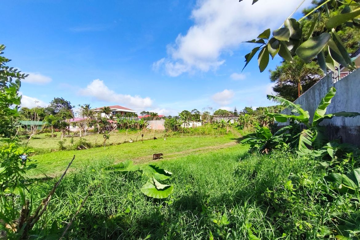 Land for Sale in Kaybagal South, Tagaytay, Cavite – photo 2