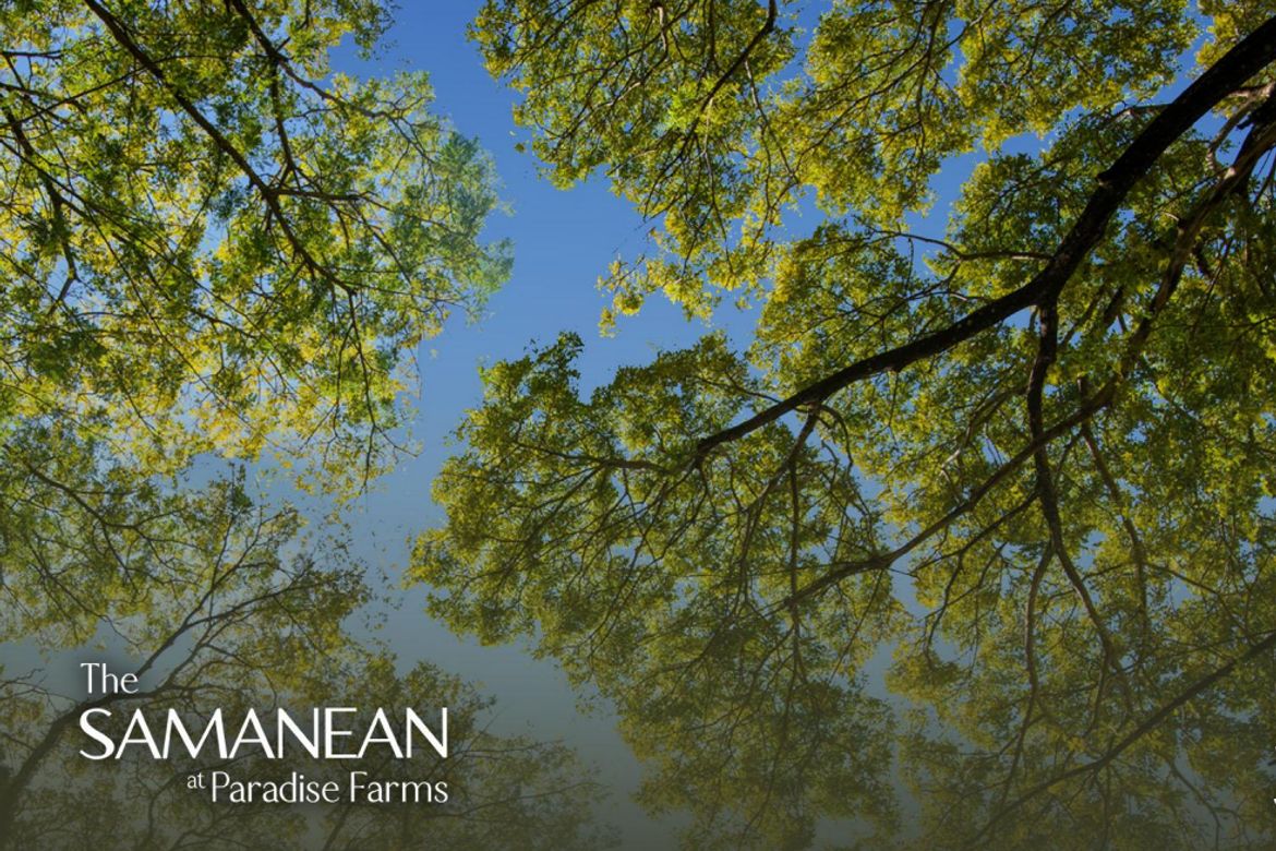 Land for Sale in Kaybanban, San Jose del Monte, Bulacan