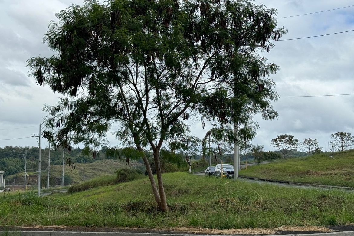 Land for Sale in Kaypian, San Jose del Monte, Bulacan – photo 5