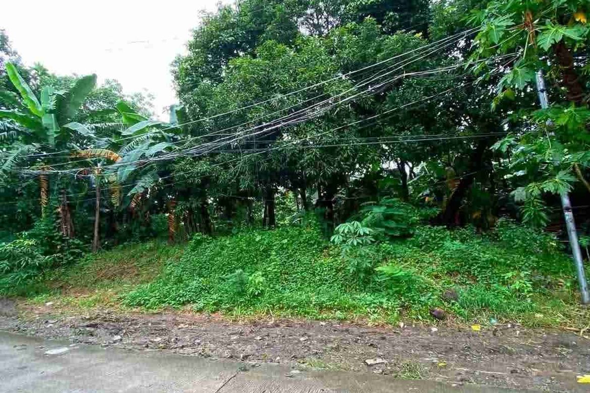 Land for Sale in Kaypian, San Jose del Monte, Bulacan – photo 2