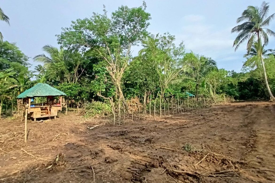 Land for Sale in Kayquit I, Indang, Cavite – photo 2