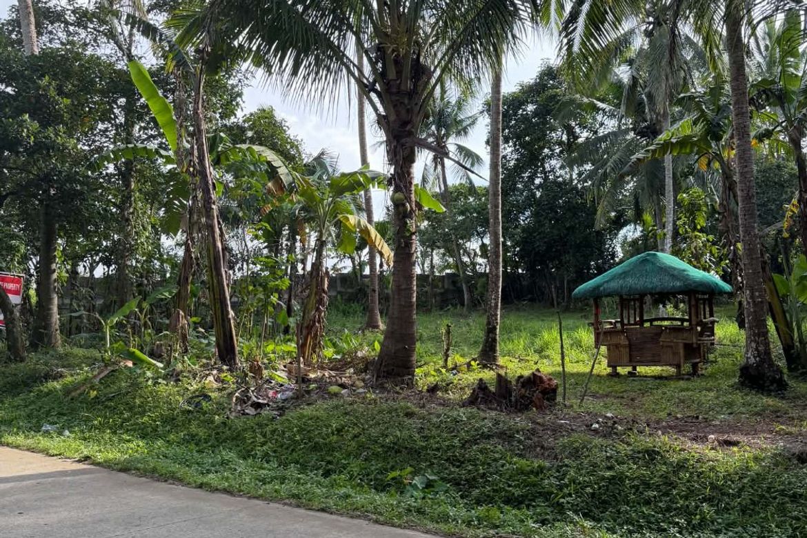 Land for Sale in Kayquit I, Indang, Cavite – photo 5