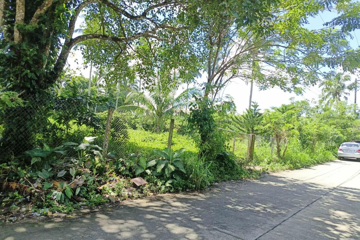 Land for Sale in Kaysuyo, Alfonso, Cavite – photo 3