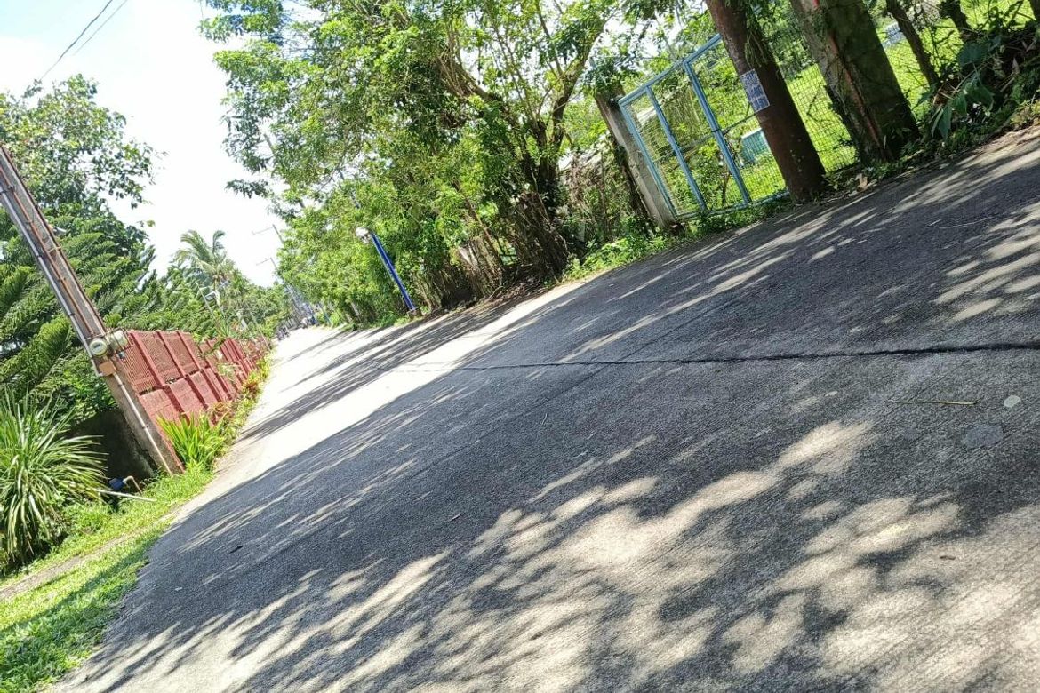 Land for Sale in Kaysuyo, Alfonso, Cavite – photo 5