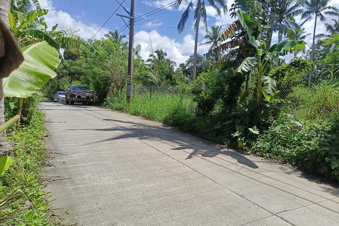 Land for Sale in Kaysuyo, Alfonso, Cavite – photo 6