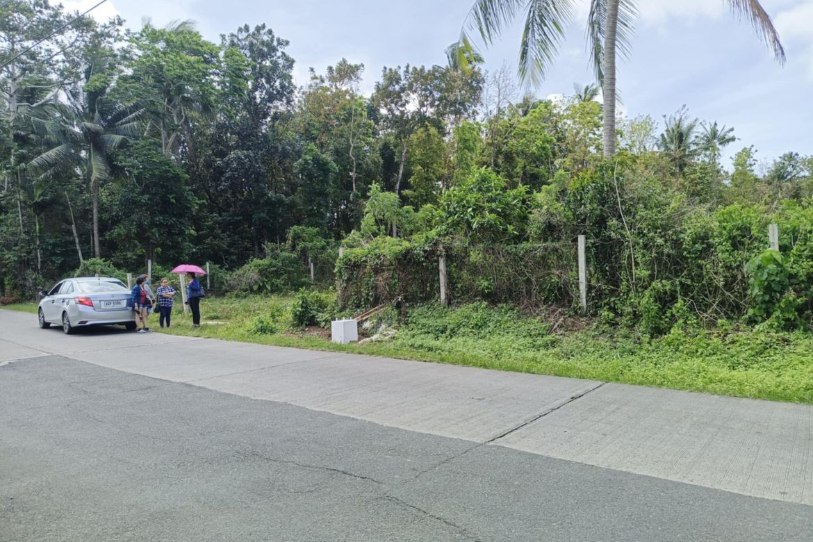 Land for Sale in Kaysuyo, Alfonso, Cavite – photo 3