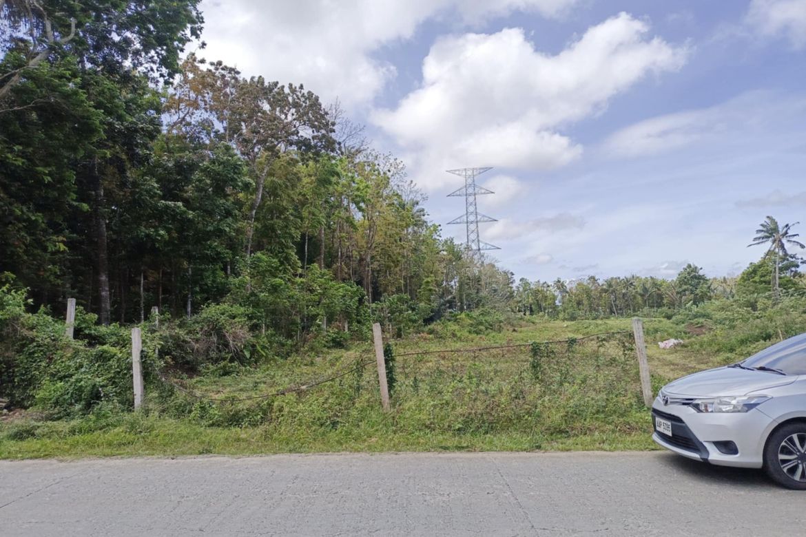 Land for Sale in Kaysuyo, Alfonso, Cavite – photo 4