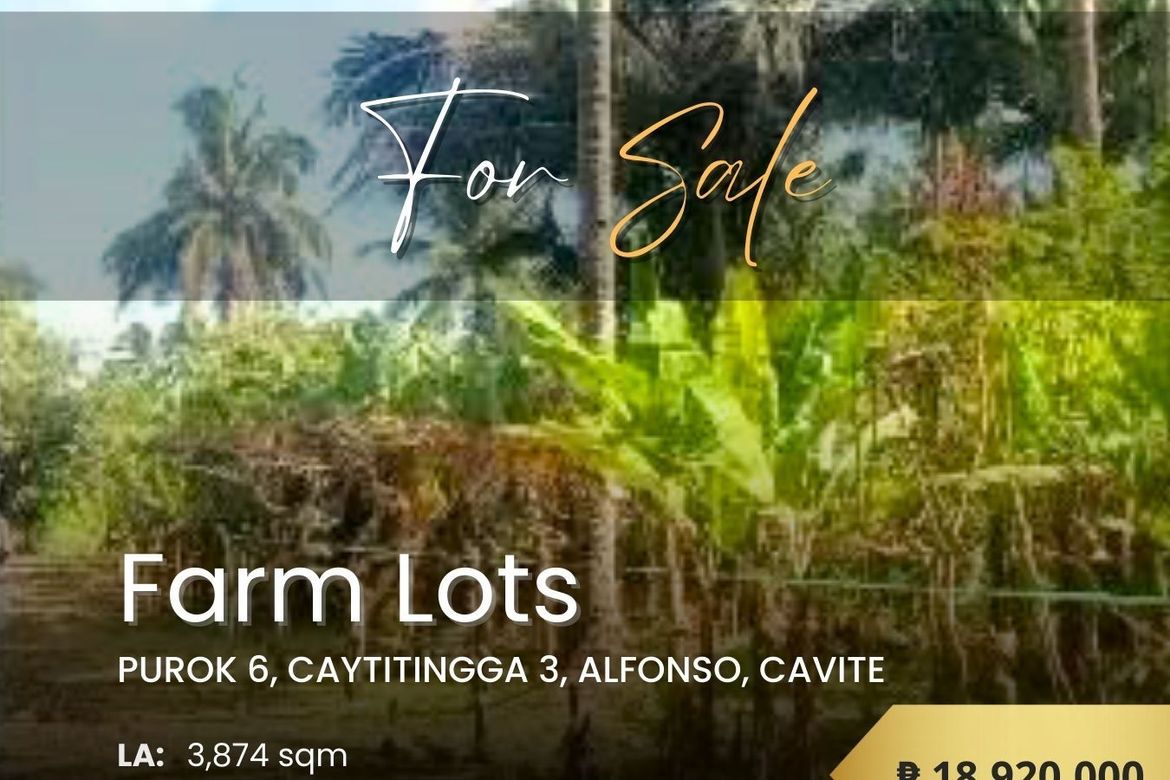 Land for Sale in Kaytitinga I, Alfonso, Cavite