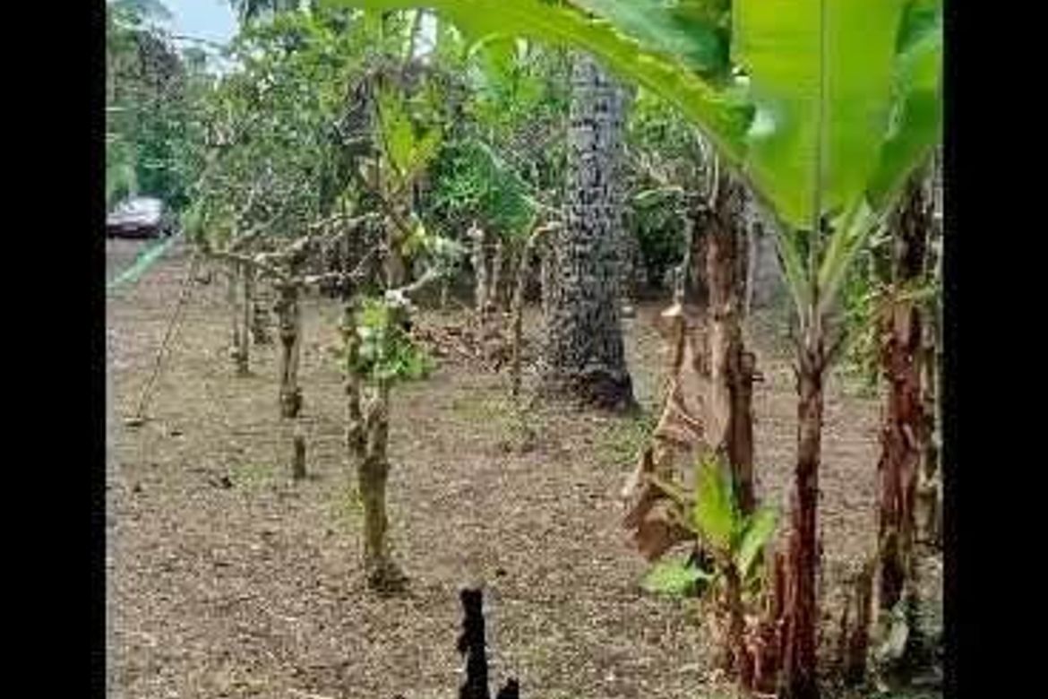 Land for Sale in Kaytitinga I, Alfonso, Cavite – photo 2