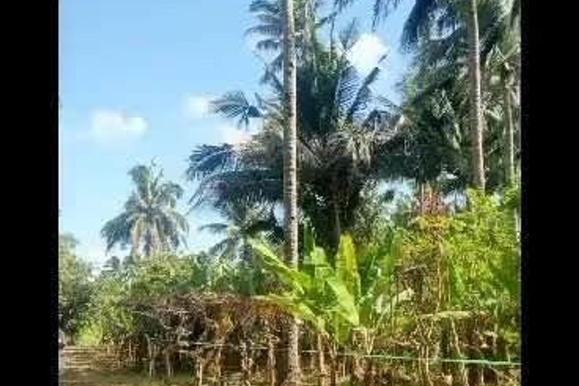 Land for Sale in Kaytitinga I, Alfonso, Cavite – photo 4