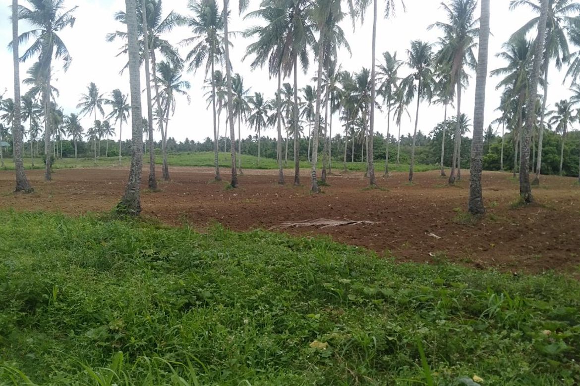 Land for Sale in Kaytitinga I, Alfonso, Cavite – photo 3