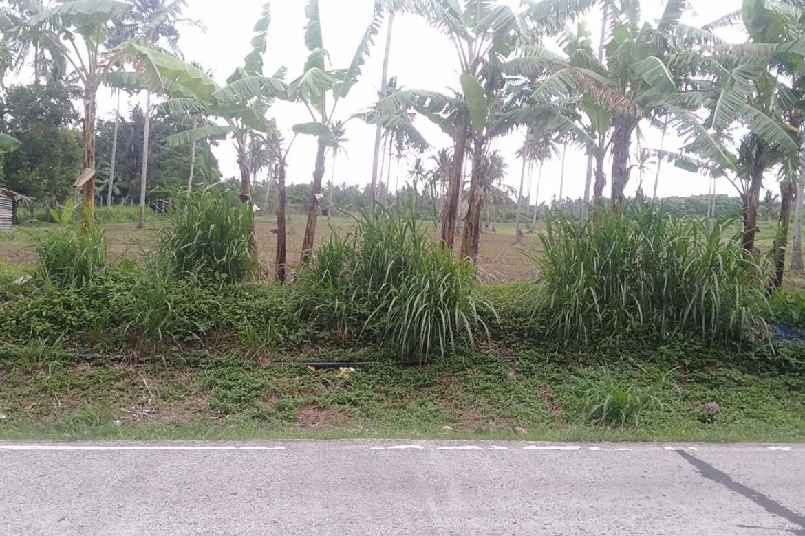 Land for Sale in Kaytitinga I, Alfonso, Cavite – photo 7