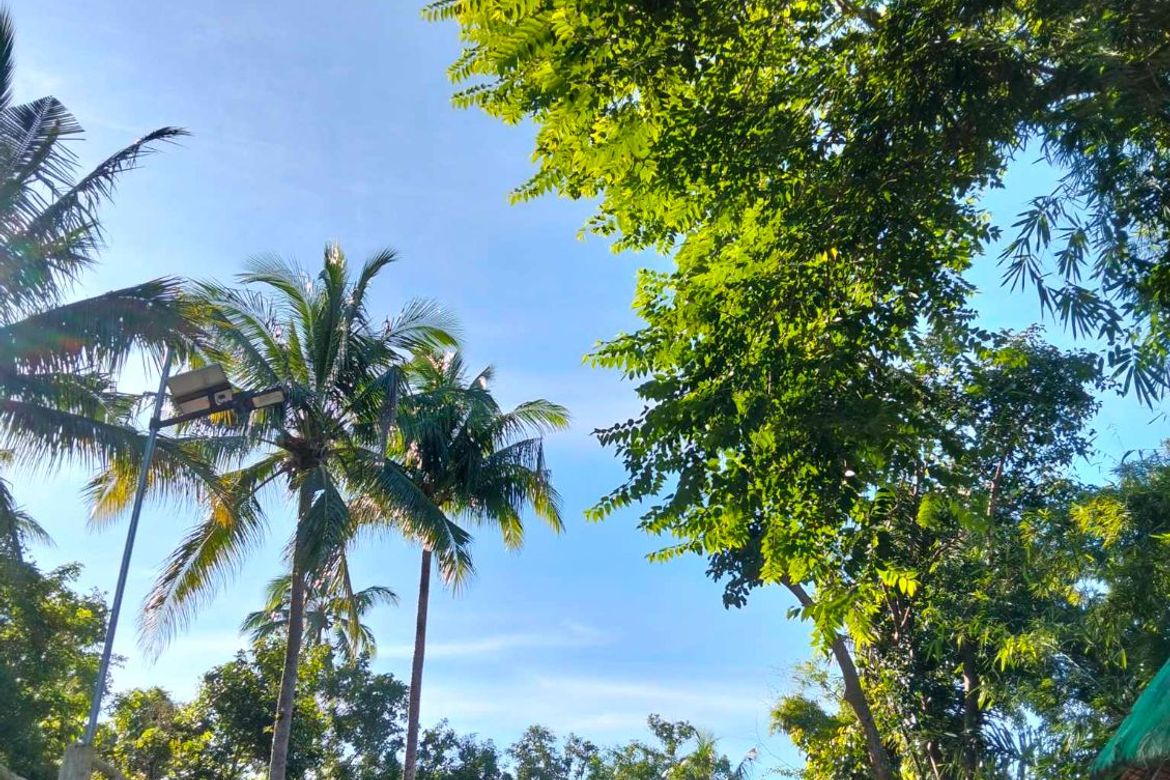 Land for Sale in Kaytitinga I, Alfonso, Cavite – photo 5