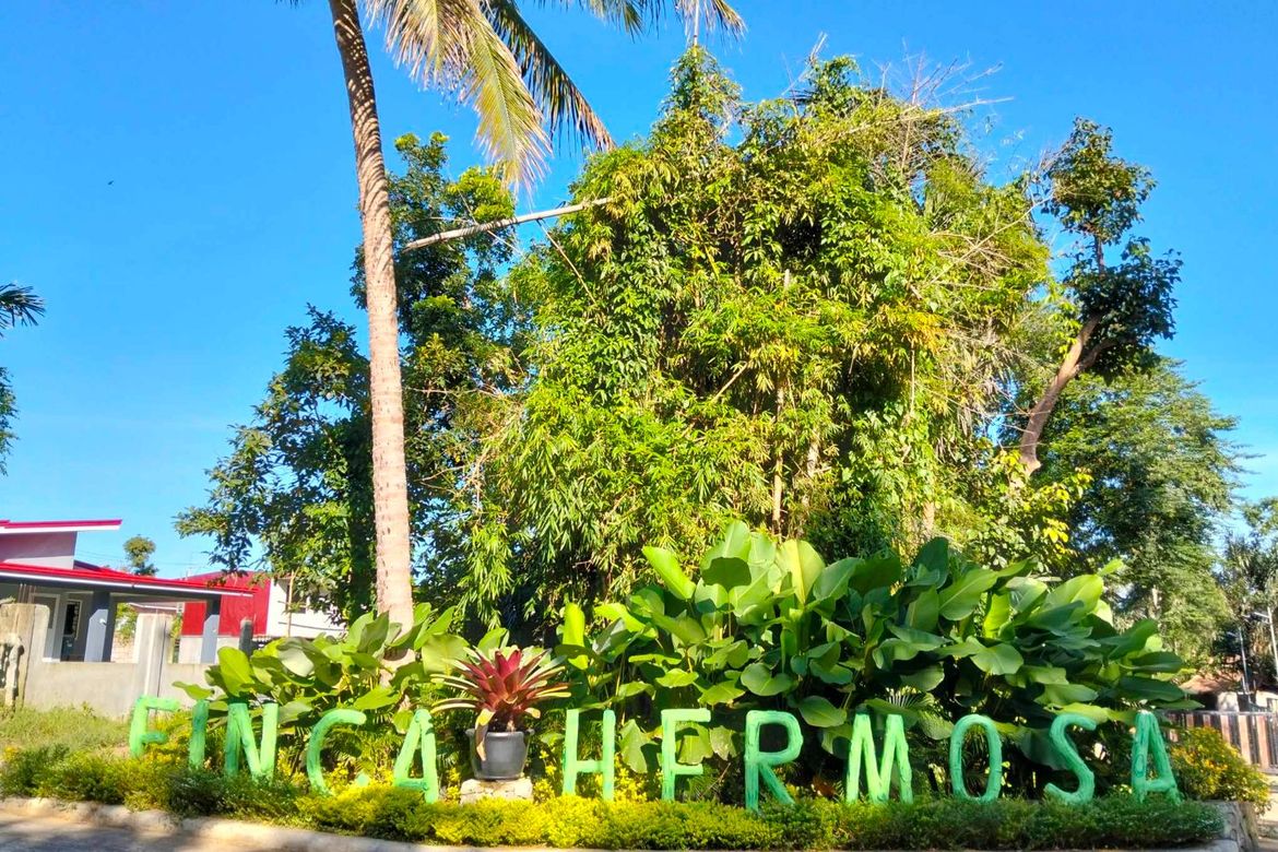 Land for Sale in Kaytitinga I, Alfonso, Cavite – photo 6